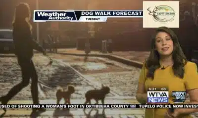 Dog Walk Forecast for April 16th - Shuka & Annie