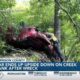 Car ends up on creek bank after Harrison Co. wreck