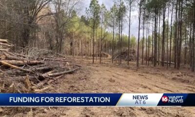 Forest Restoration Program offers help for tree farms