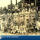 A discussion of pro baseball in the Hub City comes to the Hattiesburg library