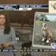 Dog Walk Forecast for April 19 - Luna