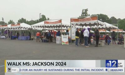 Mississippi MS Society hosts 2024 Walk MS Jackson