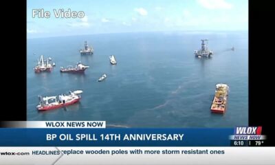 BP Oil Spill: Where does the coast stand 14 years later?