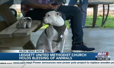 Leggett United Methodist Church holds inaugural Blessing of Pets event on church grounds