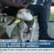 Leggett United Methodist Church holds inaugural Blessing of Pets event on church grounds