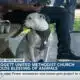 Leggett United Methodist Church holds inaugural Blessing of Pets event on church grounds