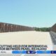 New bridge that connects Pearl to Richland now open