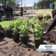 Keep Jackson Beautiful gets to work on Earth Day