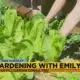 How to Know When to Pull Your Veggies