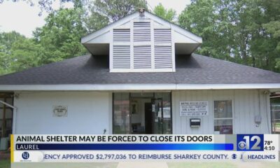 Laurel animal shelter may be forced to close its doors