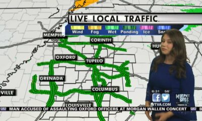 Dog Walk Forecast for April 24 - Charlie