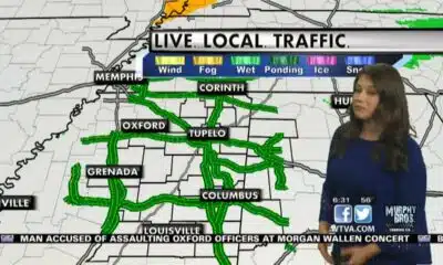 Dog Walk Forecast for April 24 - Charlie