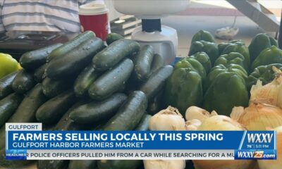 Farmers selling locally this spring at the Gulfport Harbor Farmers Market