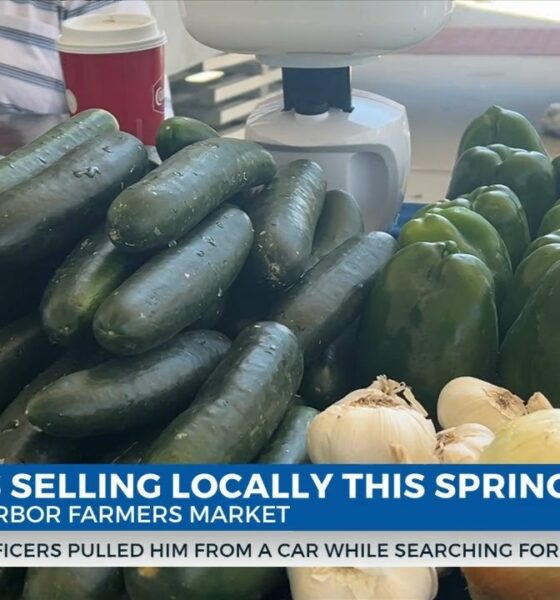 Farmers selling locally this spring at the Gulfport Harbor Farmers Market