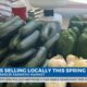 Farmers selling locally this spring at the Gulfport Harbor Farmers Market
