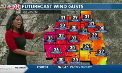 News 11 at 6PM_Weather 4/25/24