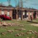 10 Years Later: WTVA to air seven-part special about anniversary of Tupelo, Louisville tornadoes