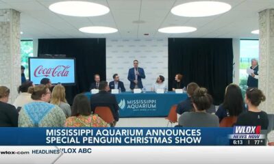 Mississippi Aquarium announces special penguin Christmas multimedia show
