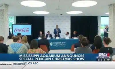 Mississippi Aquarium announces special penguin Christmas multimedia show