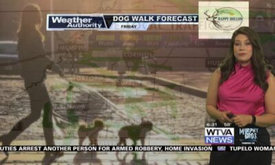 Dog Walk Forecast for April 26 – Violet