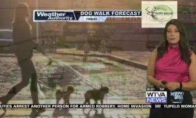Dog Walk Forecast for April 26 - Violet