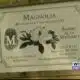 Construction begins on Rose Hill Memorial being built in Okolona