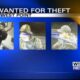 Public's help sought by West Point Police in theft investigation