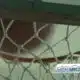 Jackson Police host youth basketball league