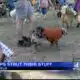 Two churches hold Pup Parade to benefit humane society