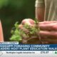 Mississippi Foraging Community gathers for plant education walk in Bay St. Louis