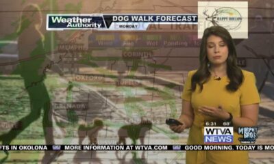 Dog Walk Forecast for April 29 – Nala Grace