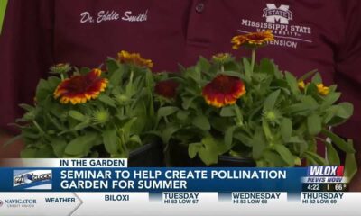 Maritime and Seafood Industry Museum to host seminar to help create pollination garden for summer