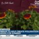 Maritime and Seafood Industry Museum to host seminar to help create pollination garden for summer