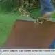 Coast Life: Skateboard community looking to grow in Biloxi