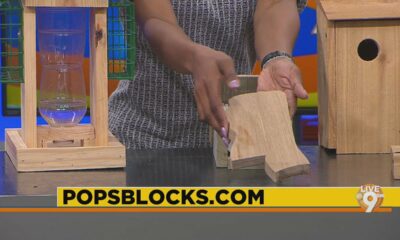 Pop's Blocks -N- More