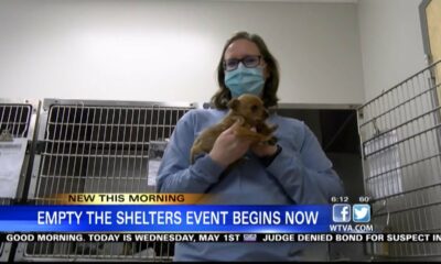Shelters in northeast Mississippi are participating in the 'Empty the Shelters' event