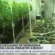 Could marijuana reclassification lower medical cannabis costs?