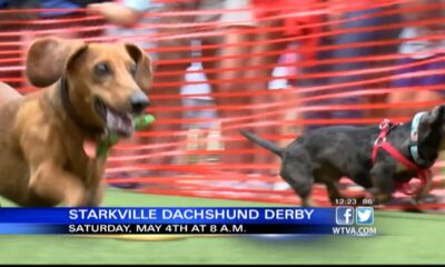 Interview:  Organizer Previews Starkville Derby on May 4