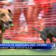 Interview:  Organizer Previews Starkville Derby on May 4