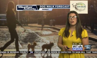 Dog Walk Forecast for May 6 - Hoss
