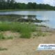 More body parts found in Flowood pond