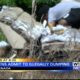 Sheriff's office says no charges, no fines for teens who admitted to illegal dumping