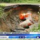 Jackson neighbors want sinkhole fixed