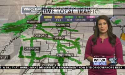 Dog Walk Forecast for May 8 - Otis