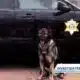 Audio released related to incident that sparked RCSO lawsuit