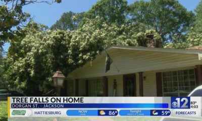 ‘He heard the tree creaking’: Fallen tree damages South Jackson family’s home
