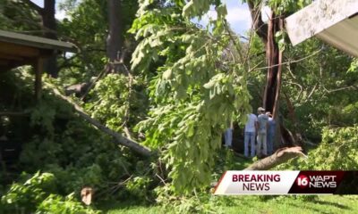 Tree falls through house in Rankin County