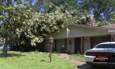 Trees fall on houses in South Jackson