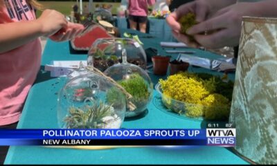 Pollinator Palooza sprouts for second year in New Albany
