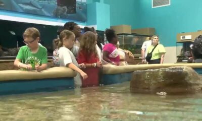 Hattiesburg students visit IMMS, learn about marine mammals